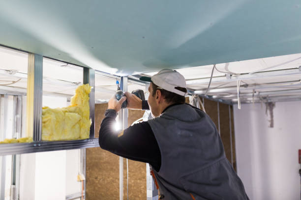 Best Cellulose Insulation in Farmingdale, NJ
