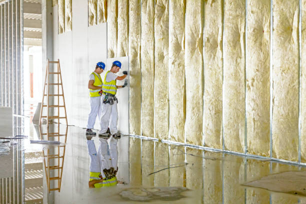 Best Geographic-Specific Insulation Services in Farmingdale, NJ